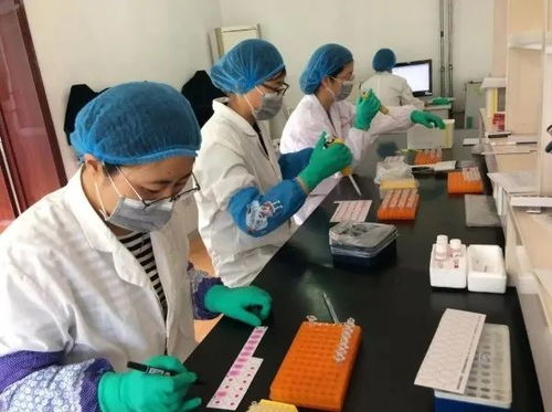 威海文登區(qū)畜牧獸醫(yī)技術(shù)服務(wù)中心 靠前服務(wù)保穩(wěn)產(chǎn) 技術(shù)服務(wù)促發(fā)展