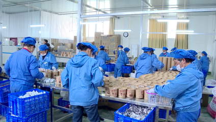 紅安 黨建領(lǐng)航，跑出鄉(xiāng)村振興“加速度” —— 探索食品互聯(lián)網(wǎng)銷售新路徑