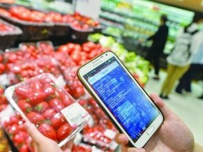 給食品銷售插上互聯(lián)網(wǎng)的翅膀 劉先玲與中國食品銷售網(wǎng)的創(chuàng)新實踐